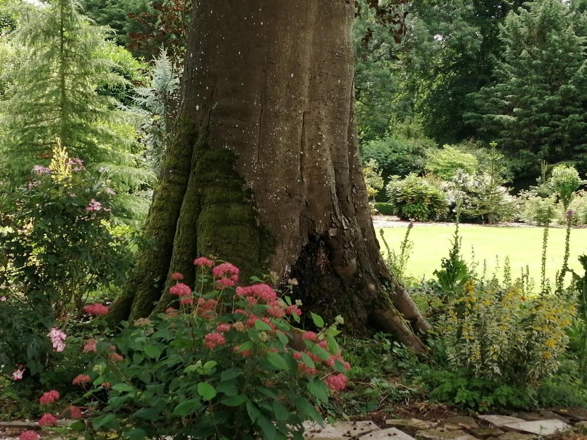 Chambre E Andre Le Domaine Des Jardins De Bracquetuit 외부 사진