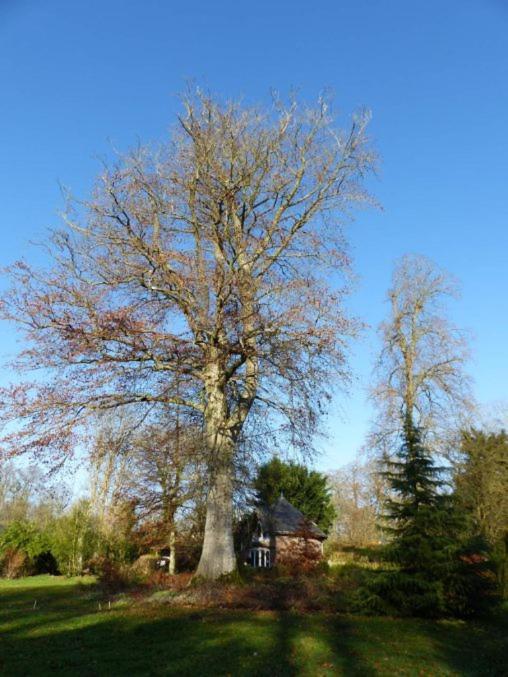 Chambre E Andre Le Domaine Des Jardins De Bracquetuit 외부 사진